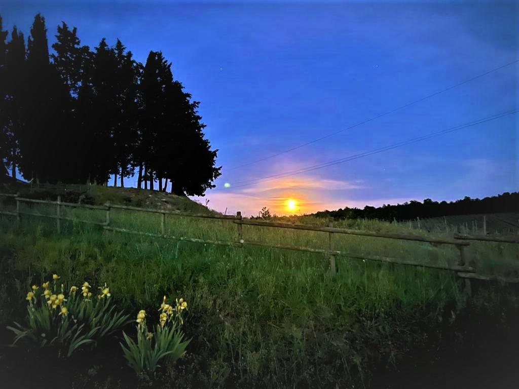 Podere La Selva Rapolano Terme Exterior foto