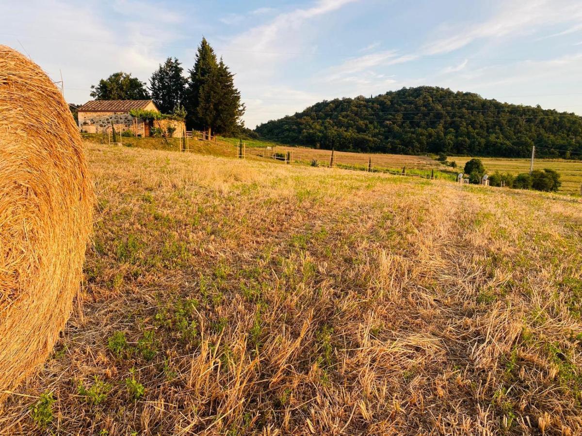 Podere La Selva Rapolano Terme Exterior foto