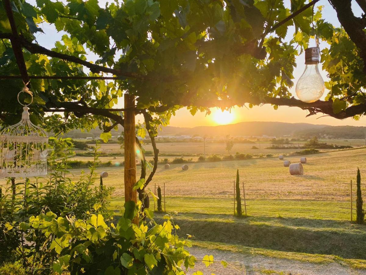 Podere La Selva Rapolano Terme Exterior foto