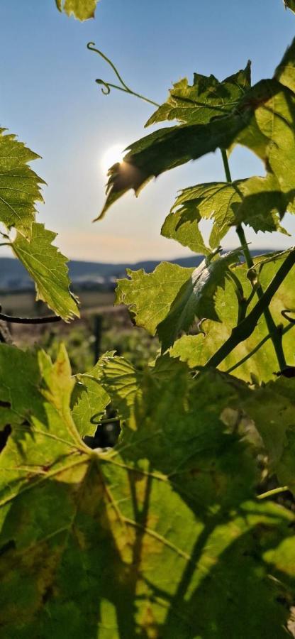Podere La Selva Rapolano Terme Exterior foto