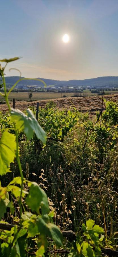 Podere La Selva Rapolano Terme Exterior foto