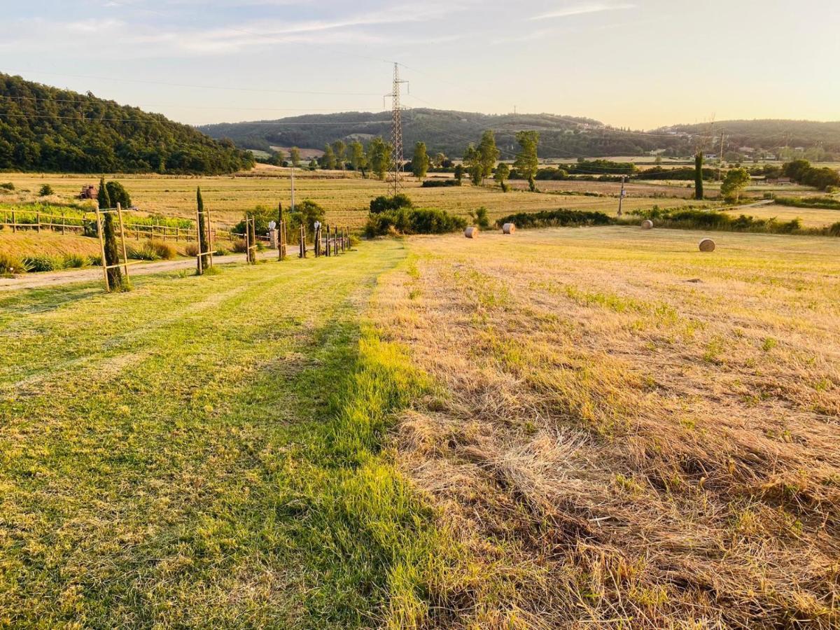 Podere La Selva Rapolano Terme Exterior foto