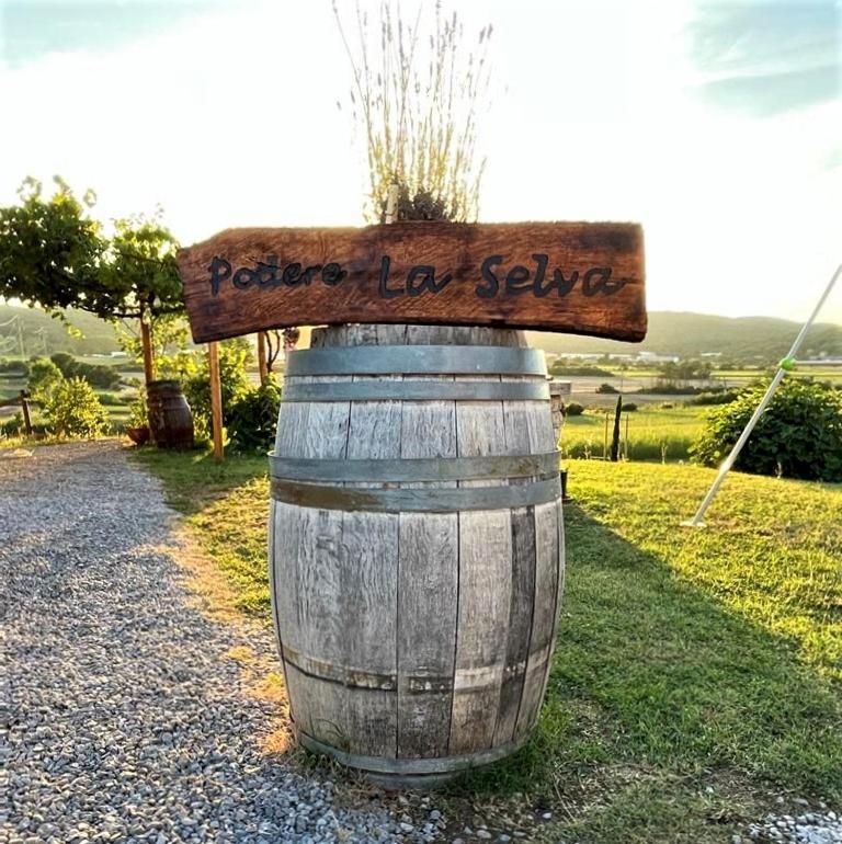 Podere La Selva Rapolano Terme Exterior foto